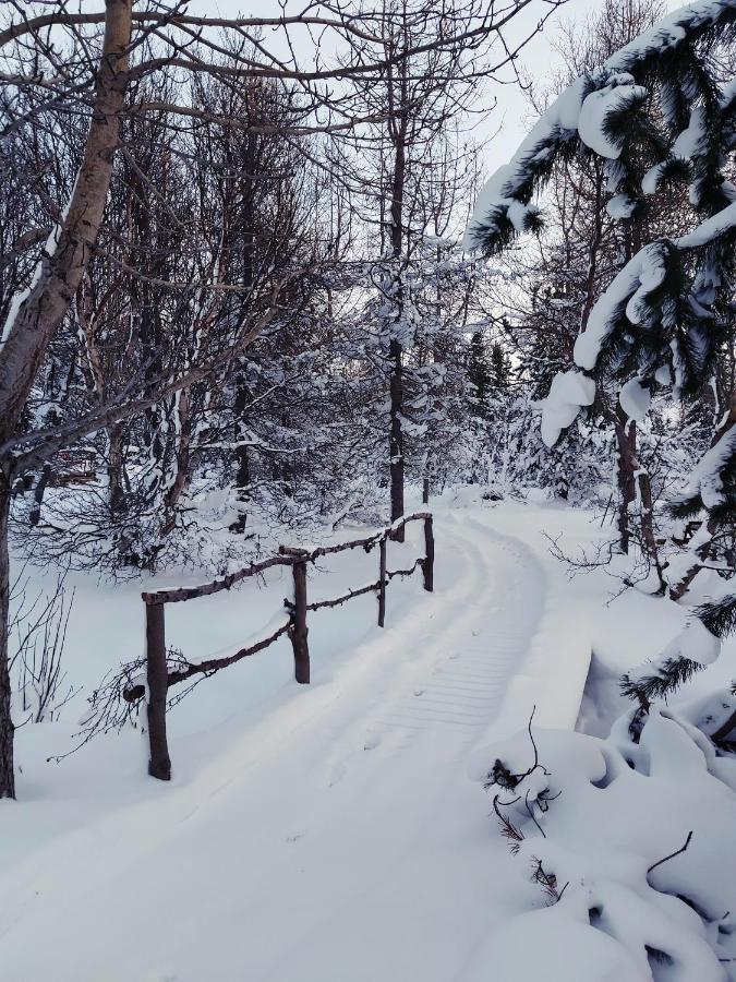Bakkakot 2 - Cozy Cabins In The Woods Akureyri Exteriör bild