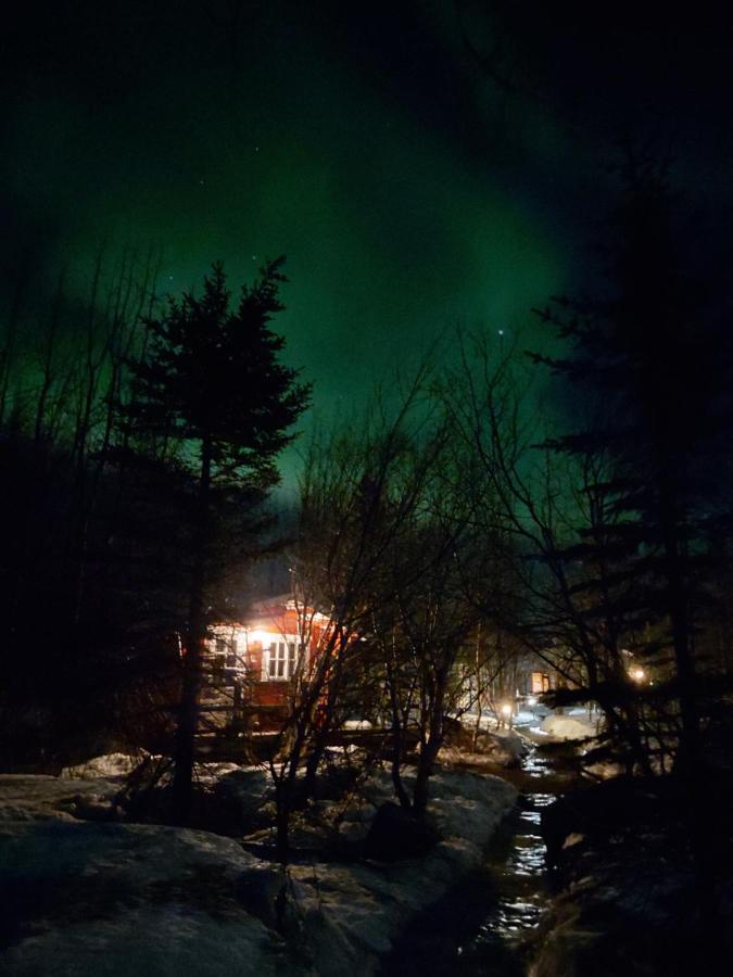Bakkakot 2 - Cozy Cabins In The Woods Akureyri Exteriör bild
