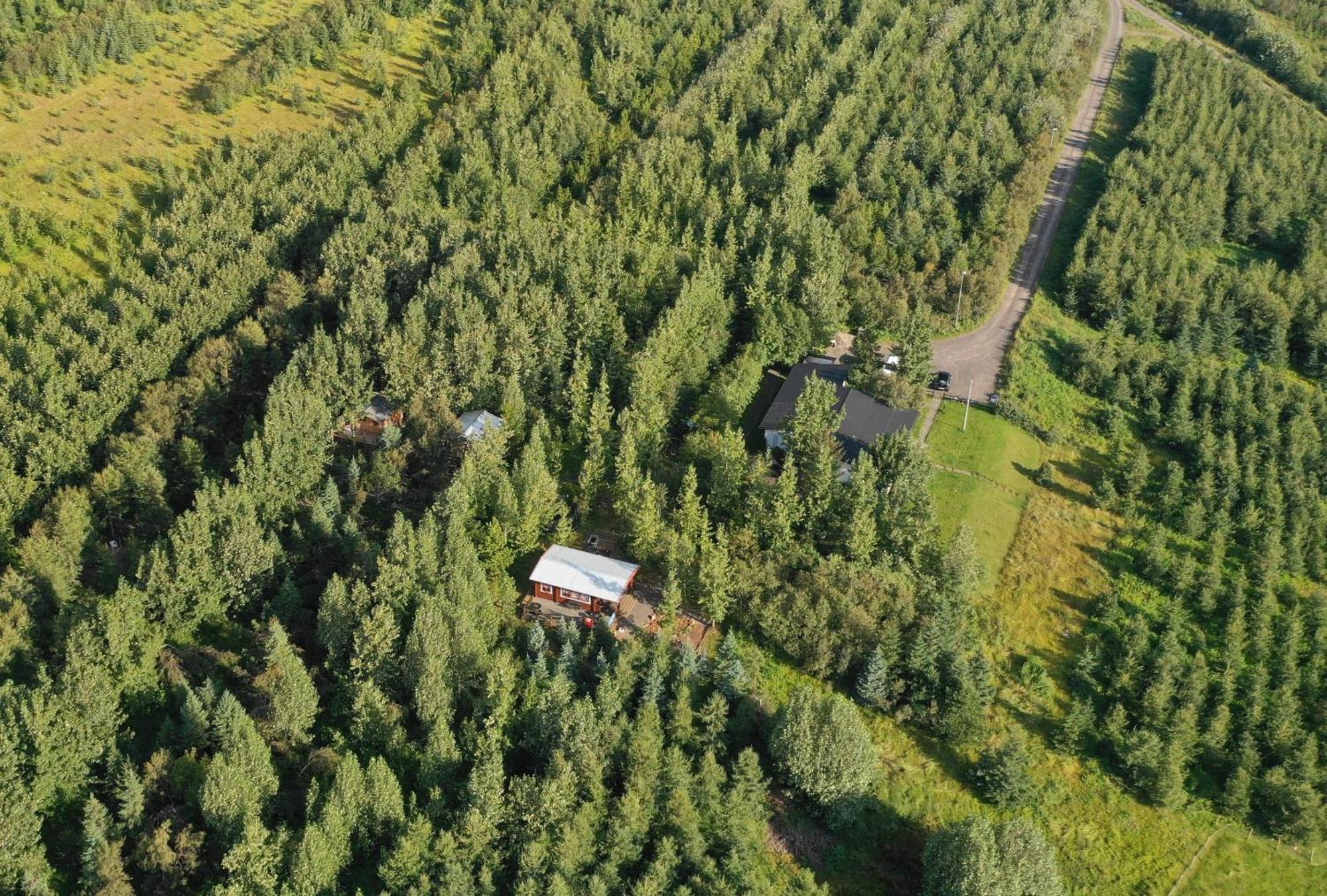 Bakkakot 2 - Cozy Cabins In The Woods Akureyri Exteriör bild